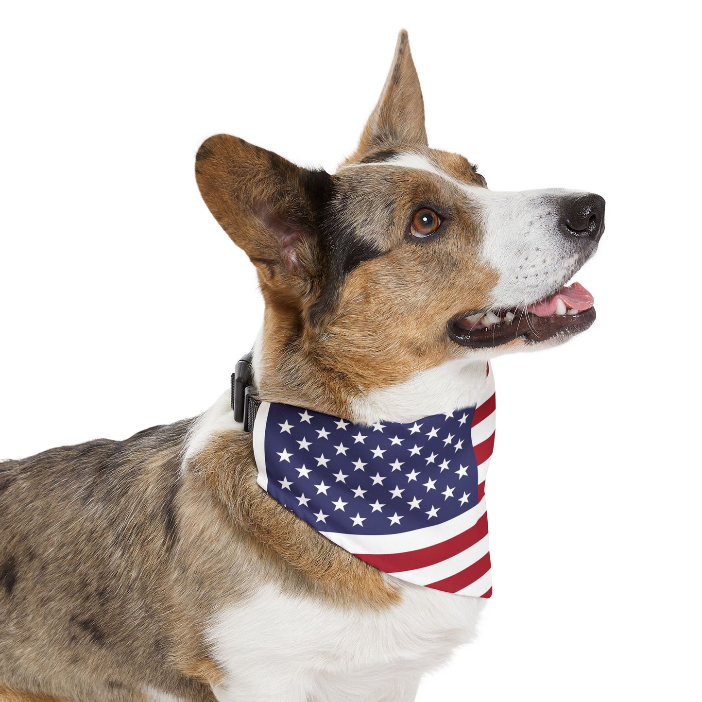 American Flag Adjustable pet bandana for dog or cat, bandana and collar combo