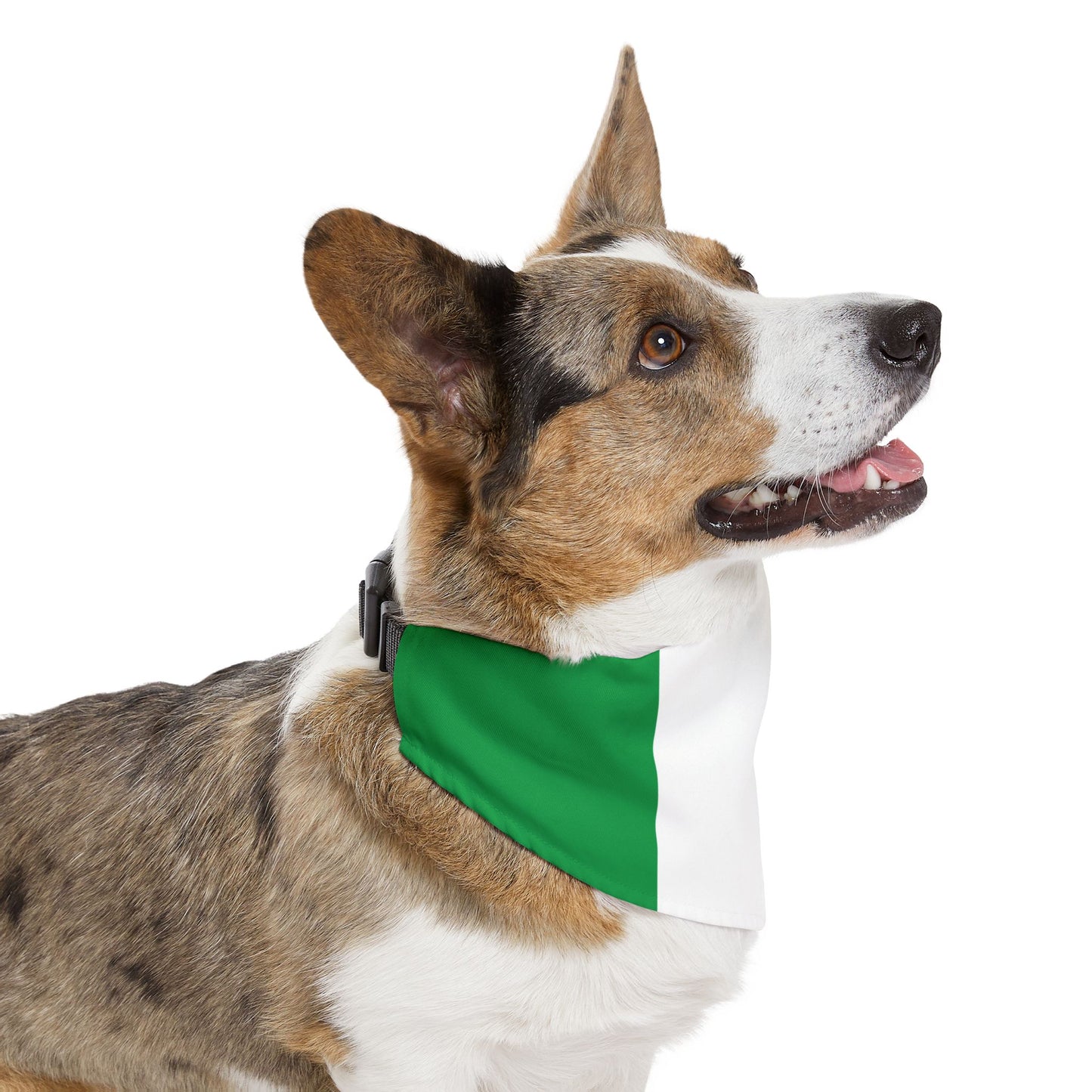 Irish Flag Adjustable pet bandana, bandana for dog or cat, bandana and collar combo