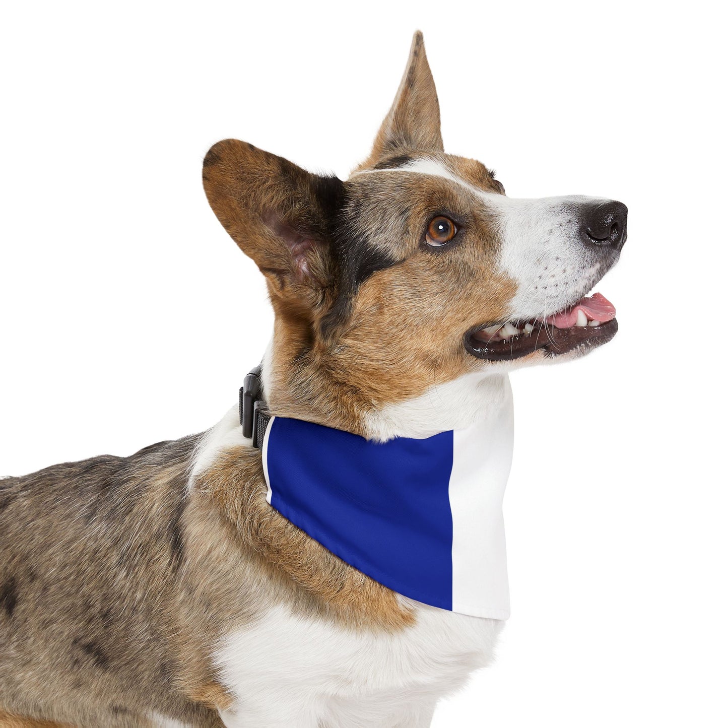 French Flag Adjustable pet bandana for dog or cat, bandana and collar combo