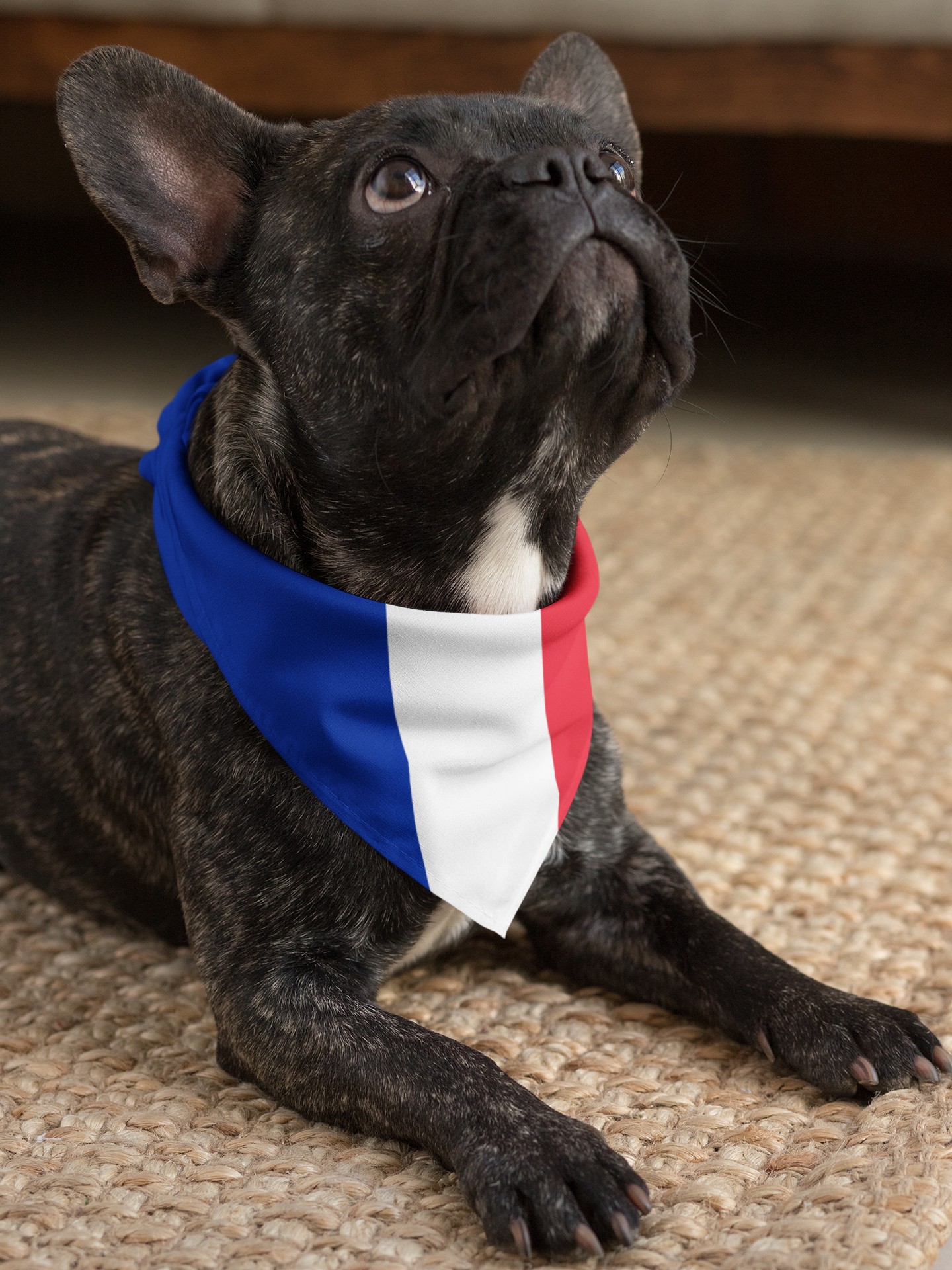 Pet Apparel and Accessories