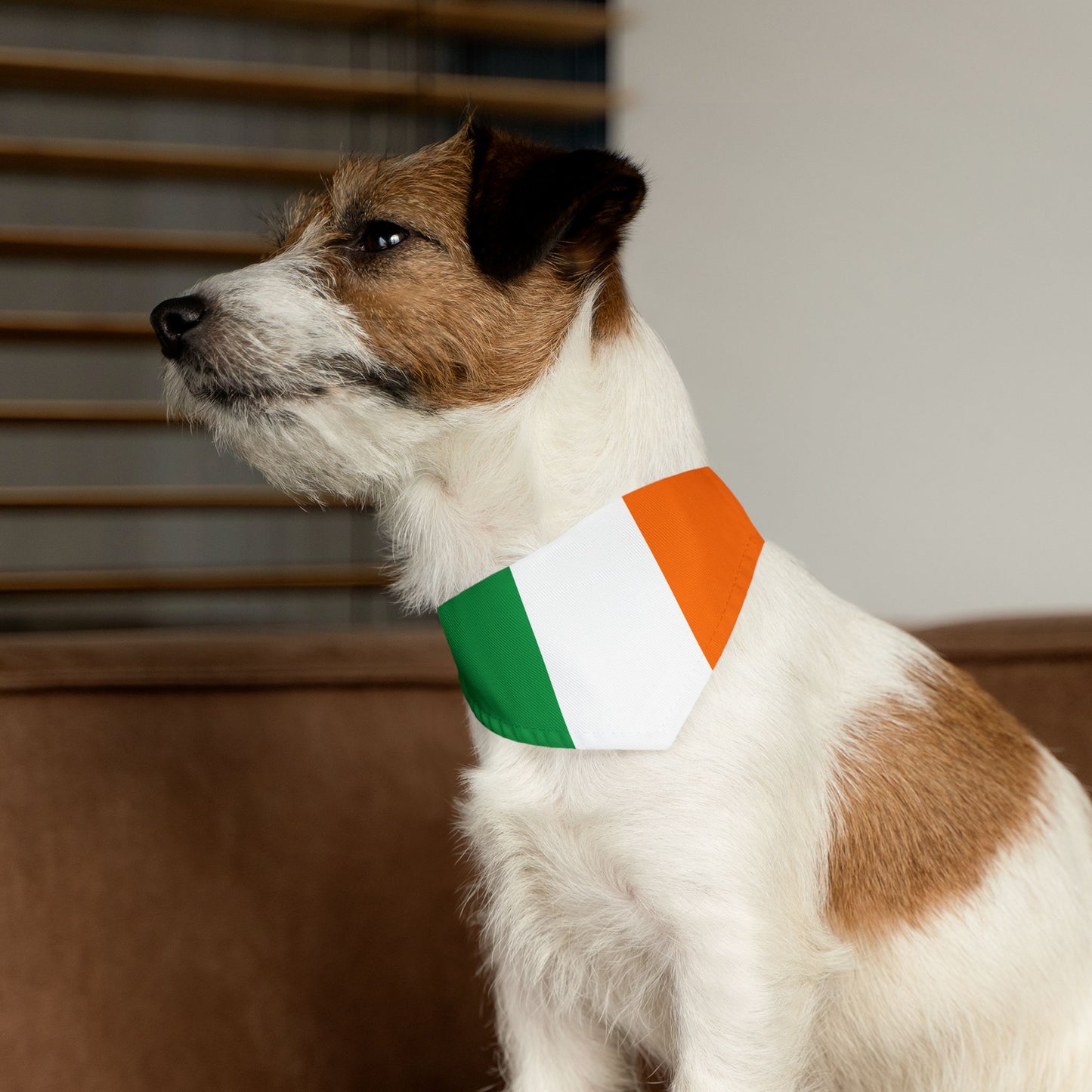 Irish Flag Adjustable pet bandana, bandana for dog or cat, bandana and collar combo