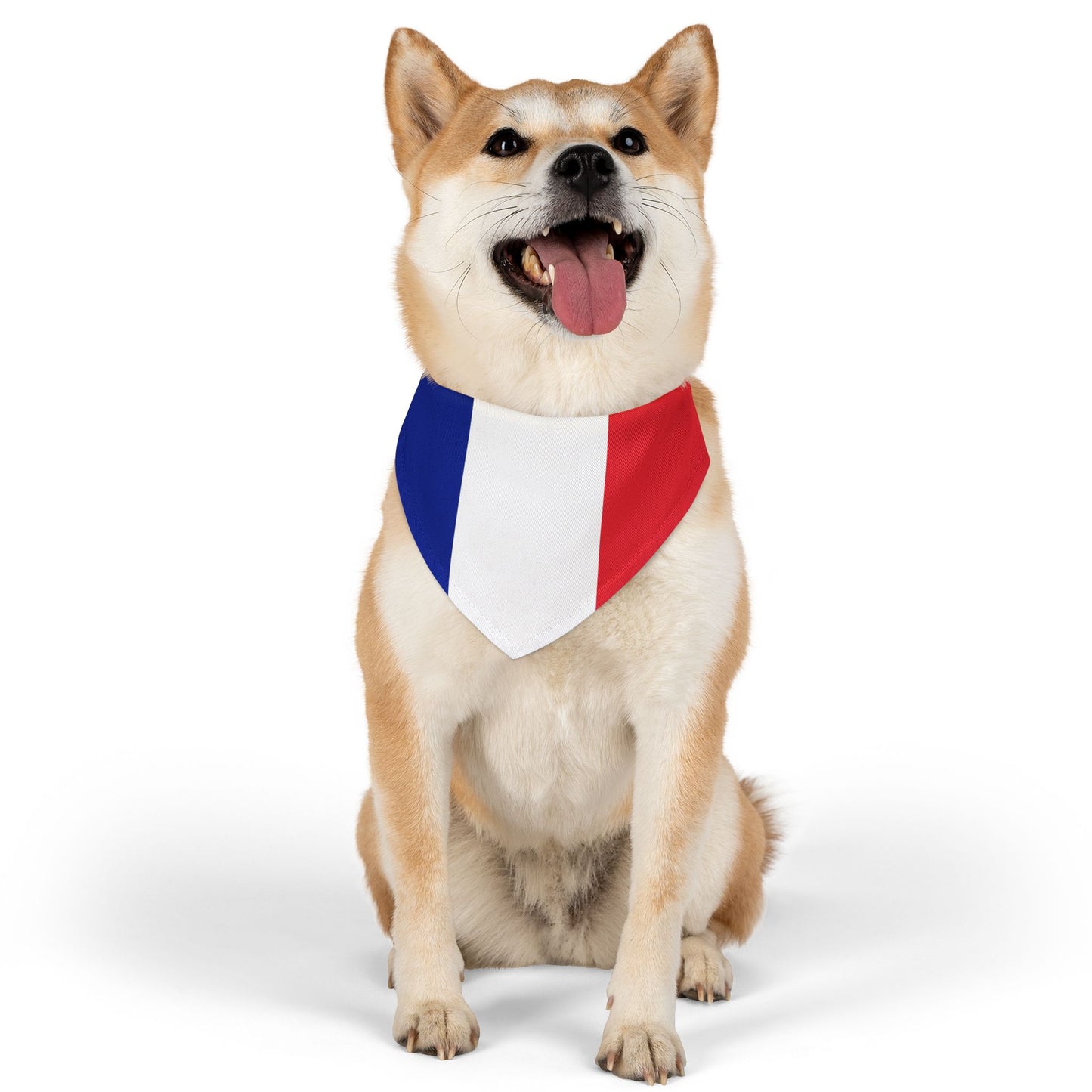 French Flag Adjustable pet bandana for dog or cat, bandana and collar combo