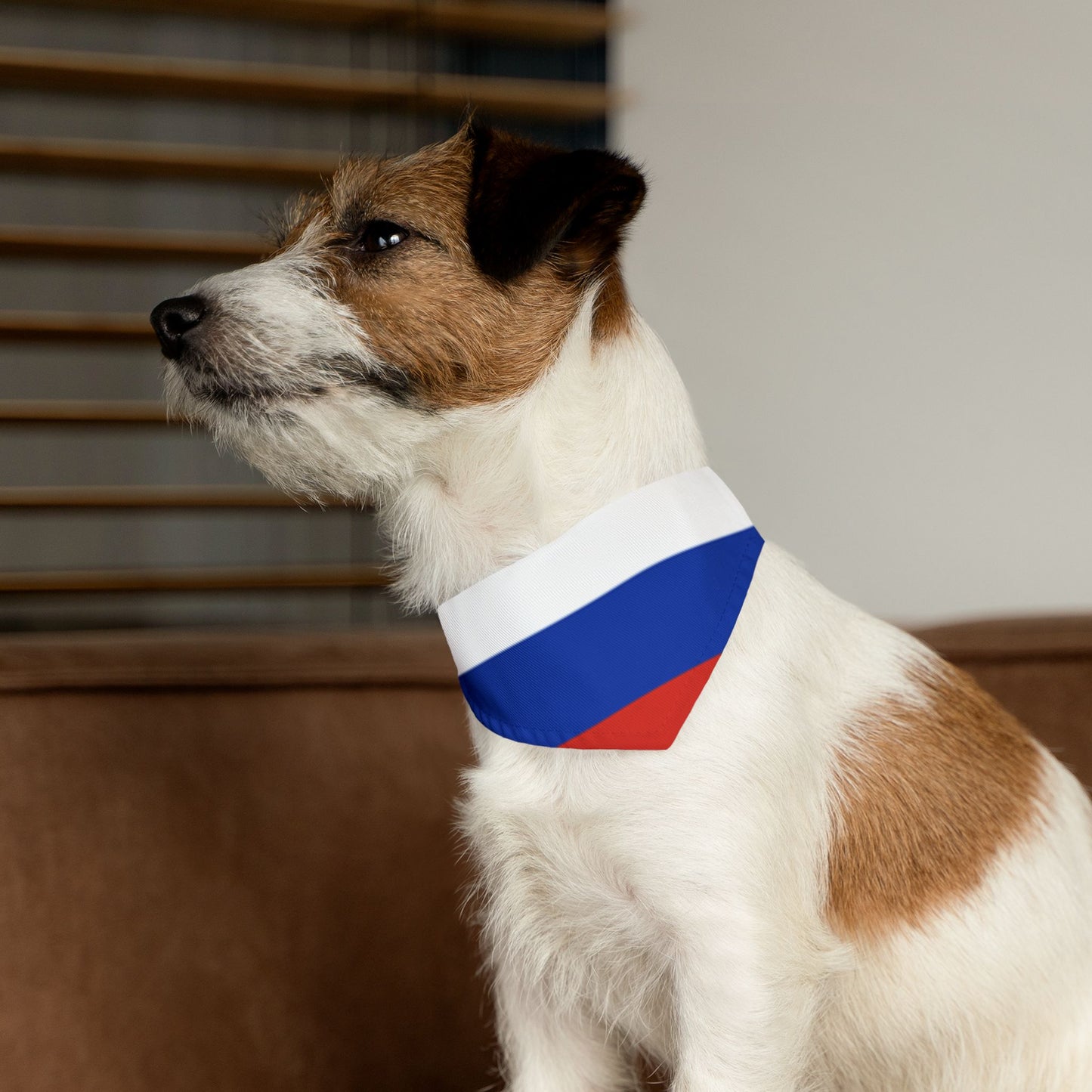 Russian Flag Adjustable pet bandana for dog or cat, bandana and collar combo