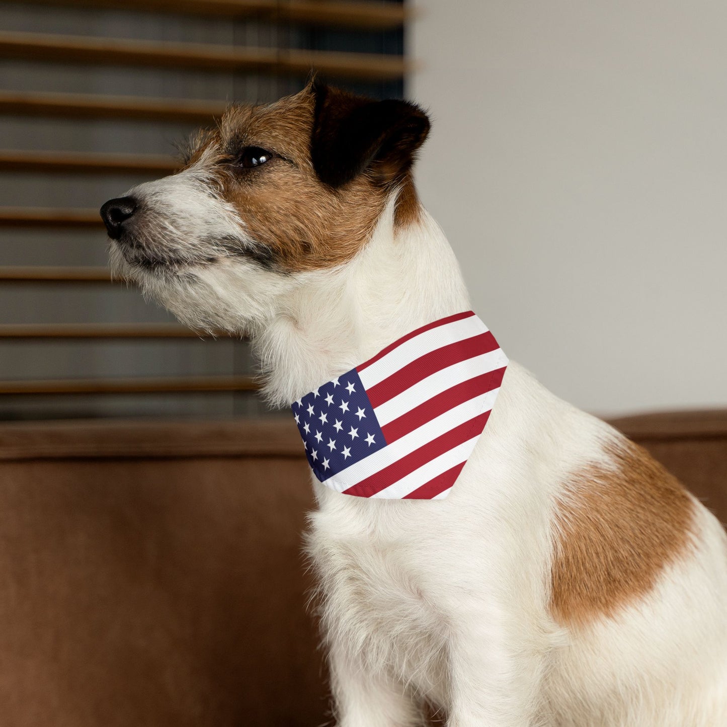 American Flag Adjustable pet bandana for dog or cat, bandana and collar combo