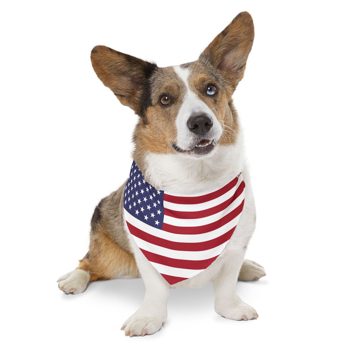 American Flag Adjustable pet bandana for dog or cat, bandana and collar combo