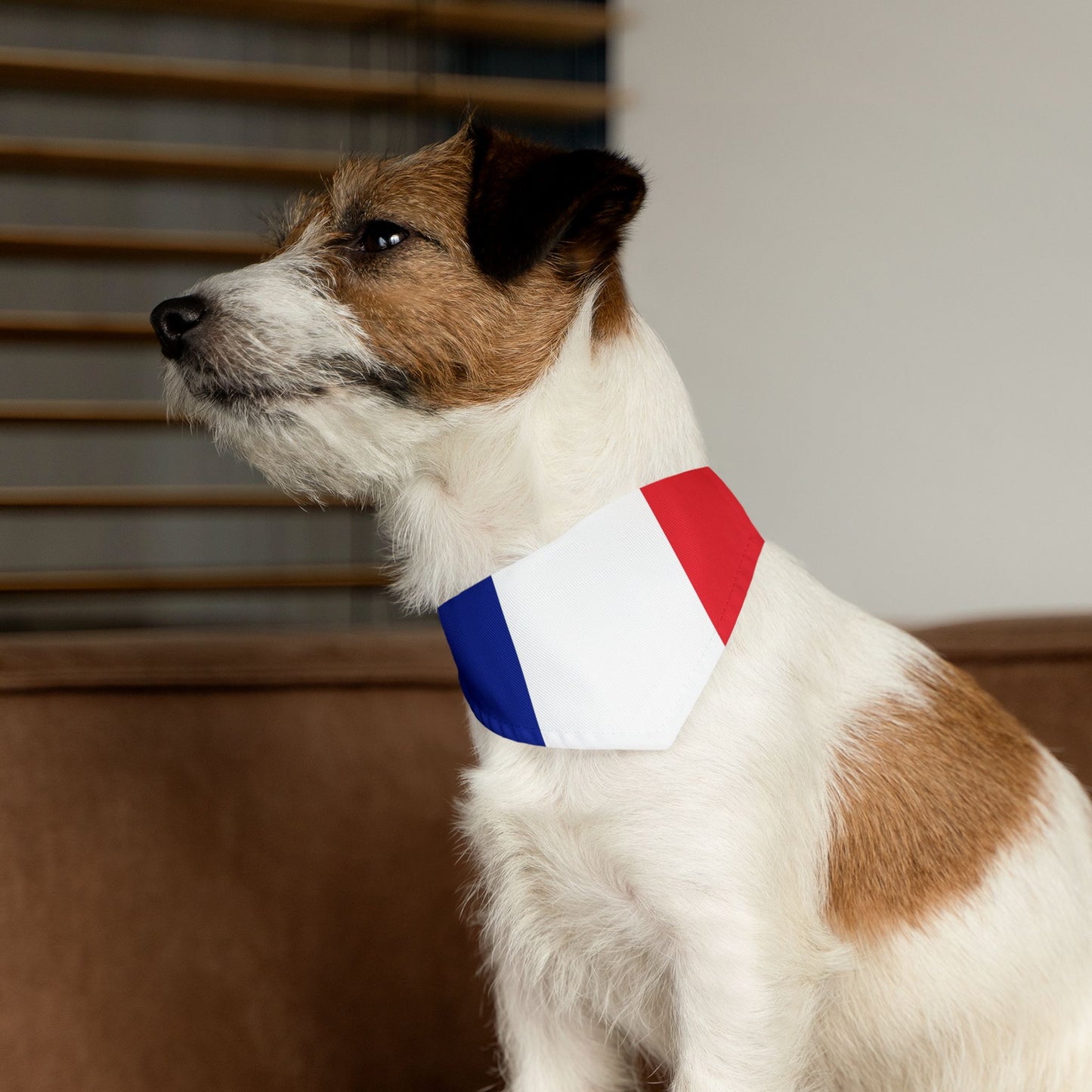 French Flag Adjustable pet bandana for dog or cat, bandana and collar combo