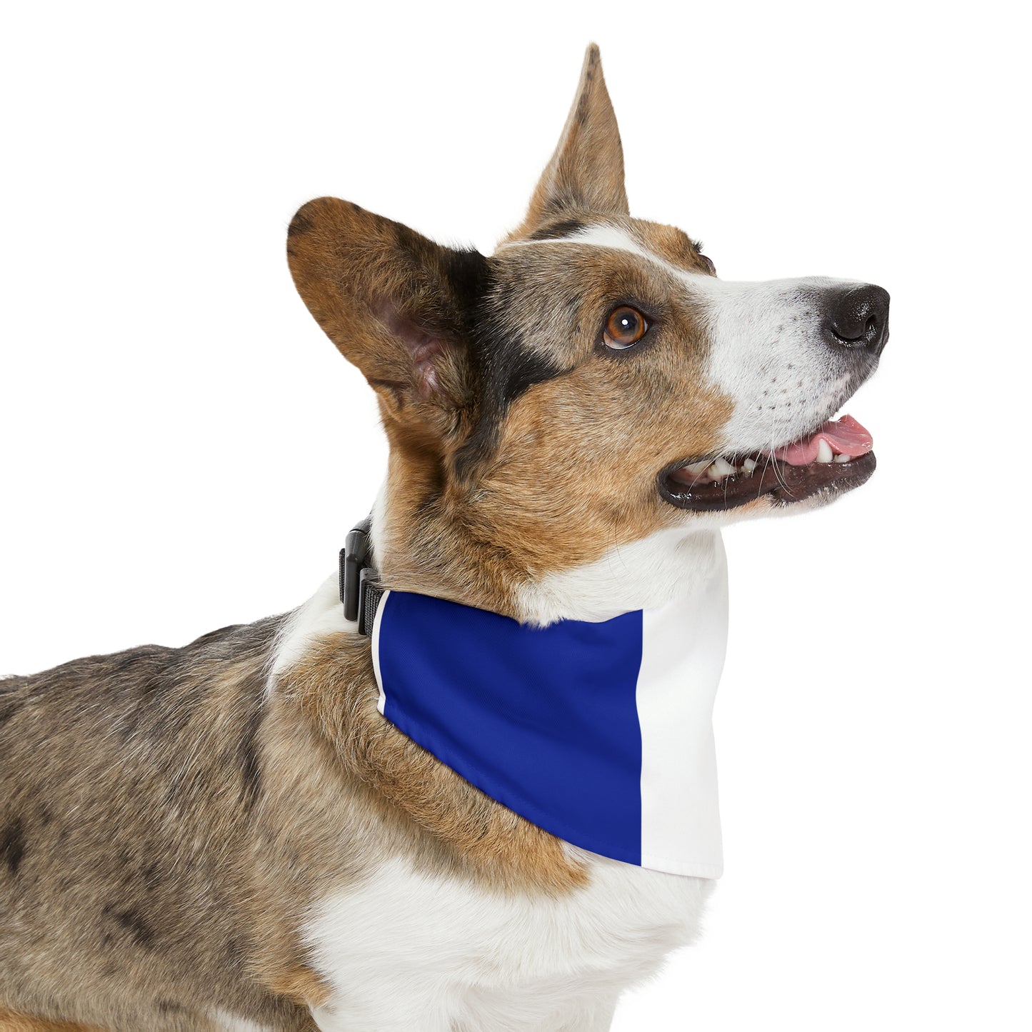 Adjustable pet bandana, bandana for dog, bandana for cat, new puppy gift, flag bandana for pets, bandana and collar combo, cute dog bandana