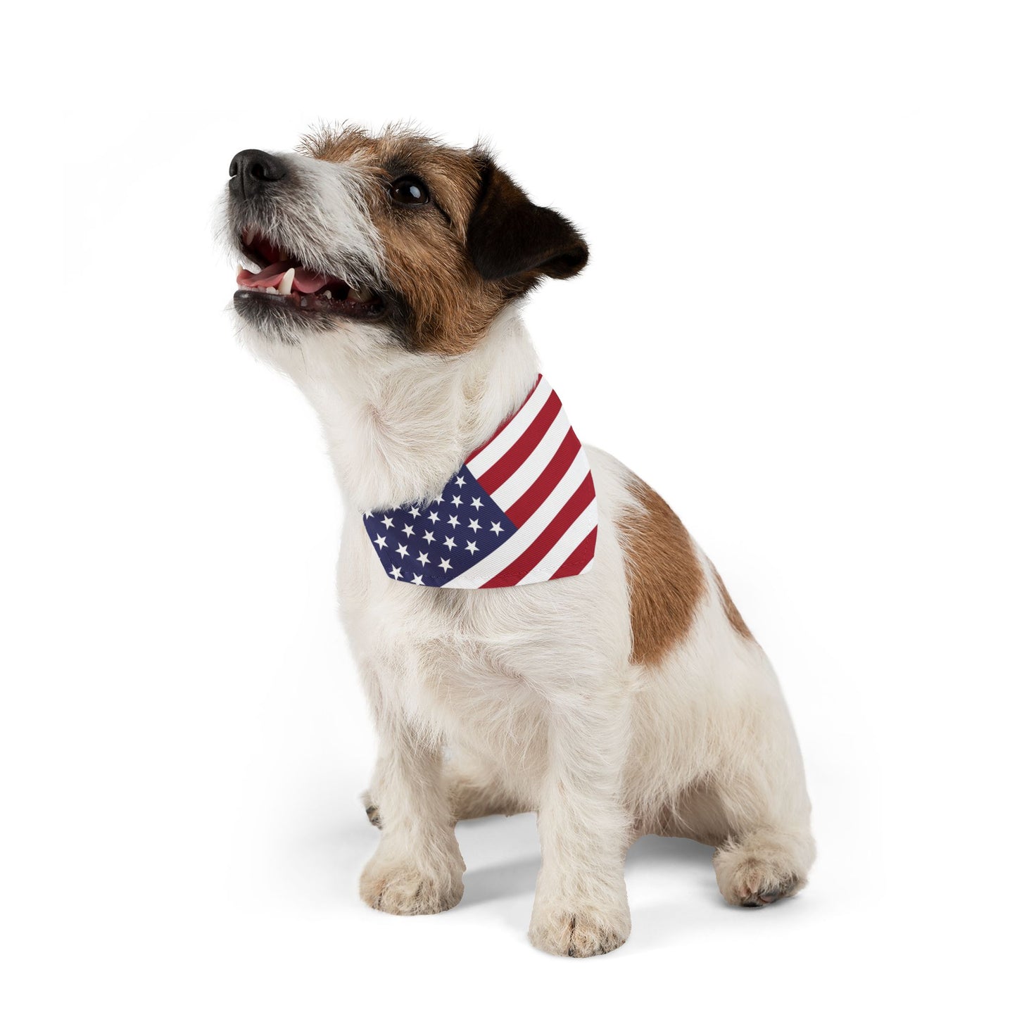 American Flag Adjustable pet bandana for dog or cat, bandana and collar combo