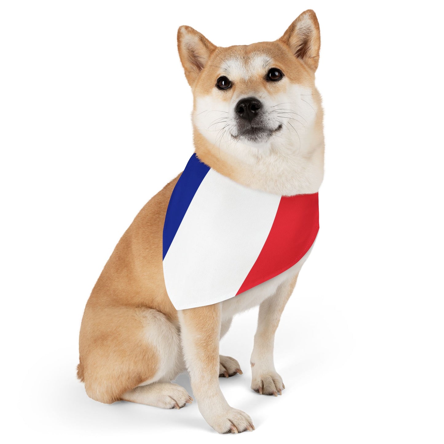 French Flag Adjustable pet bandana for dog or cat, bandana and collar combo