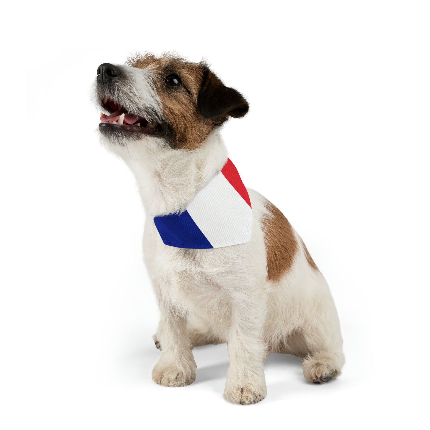 Adjustable pet bandana, bandana for dog, bandana for cat, new puppy gift, flag bandana for pets, bandana and collar combo, cute dog bandana