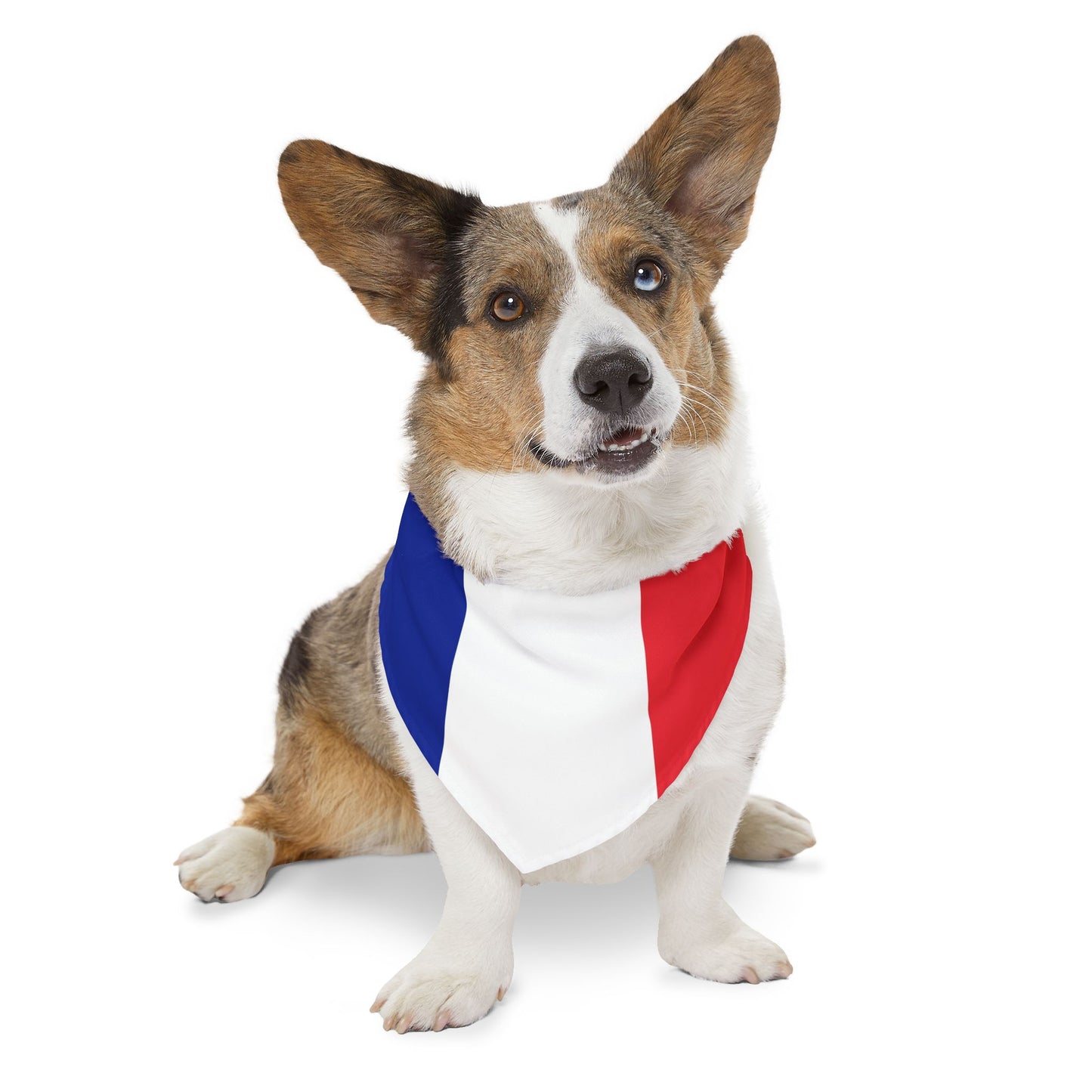 French Flag Adjustable pet bandana for dog or cat, bandana and collar combo