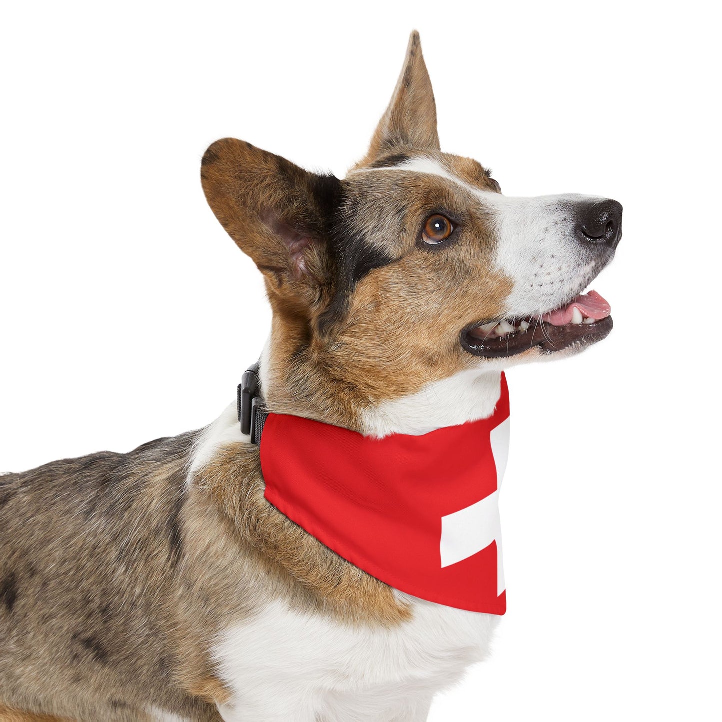 Swiss Flag Adjustable pet bandana for dog or cat, bandana and collar combo