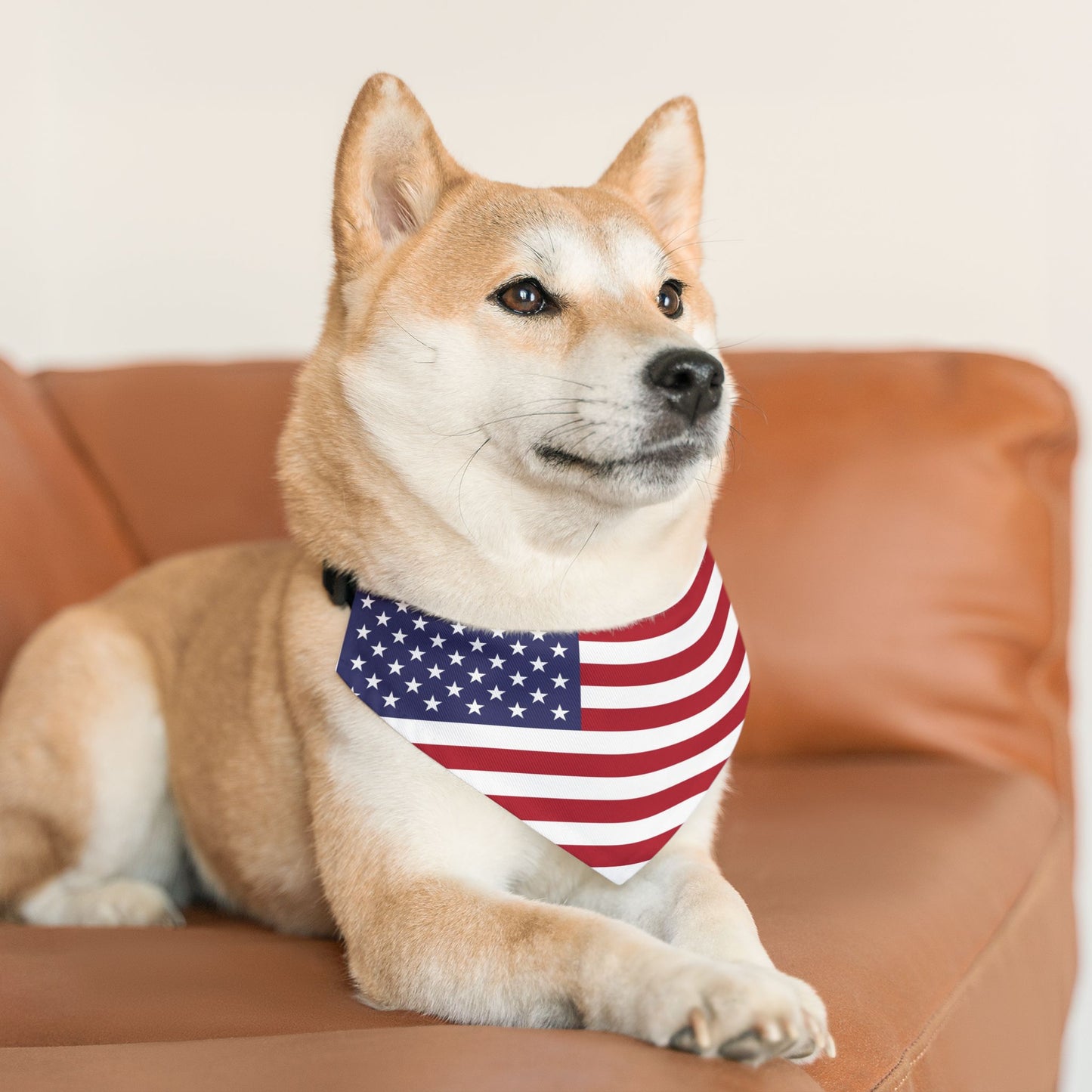 American Flag Adjustable pet bandana for dog or cat, bandana and collar combo