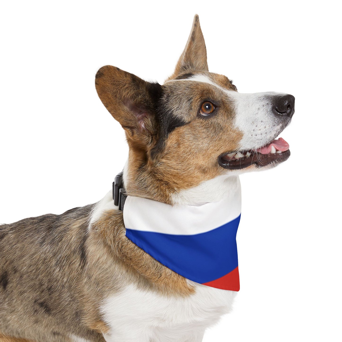 Russian Flag Adjustable pet bandana for dog or cat, bandana and collar combo